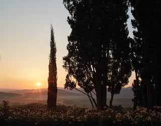 Traditional Tuscany