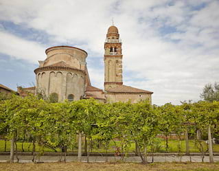 Antichi vigneti di Venezia
