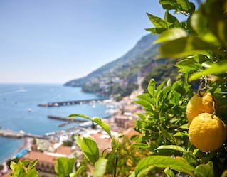 Amalfi Lemon Tour