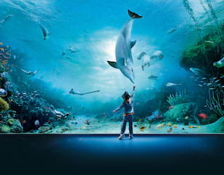 Aquarium of Genoa
