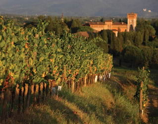 Collio Wine Tour, Venice