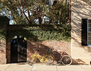 things to do in charleston