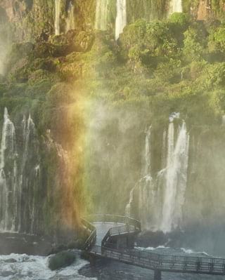 bird park iguassu falls