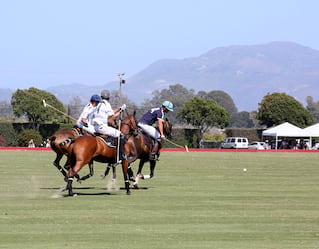 Polo Season