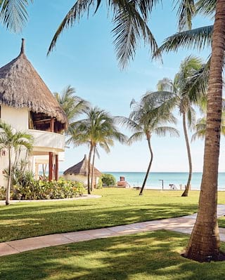 Caminho do jardim entre palmeiras e uma casa de praia com telhado de palha