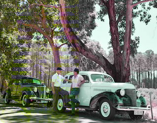 Vintage car tour in Cape Town