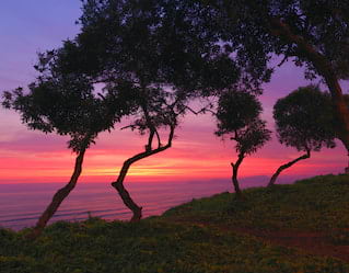 Belmond Miraflores Park