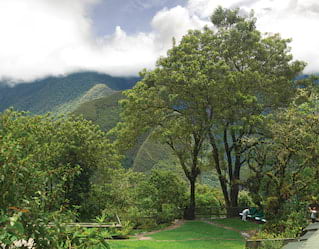 South America