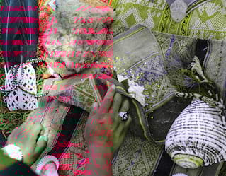 Coca Leaf Reading