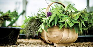 Raymond Blanc Gardening School