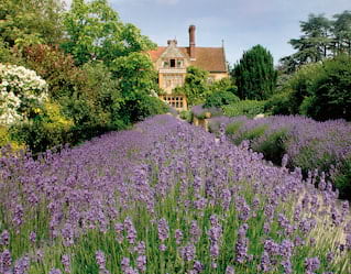 Garden party, oxfordshire