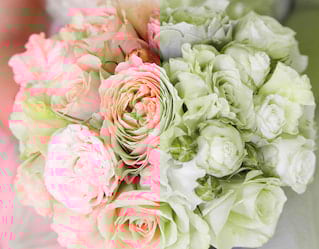 flower arrangements