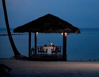 Honeymoons