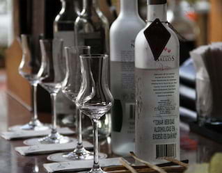 Degustación de pisco