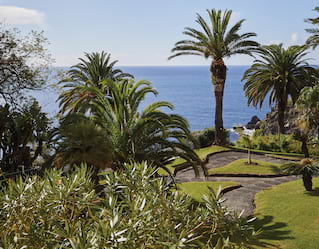 Palm trees, shrubs and a manicured lawn in a garden overlooking the sea
