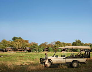 Safari Game Drives