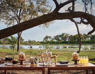 Belmond Savute Elephant Lodge