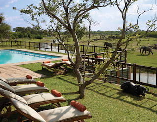 Belmond Savute Elephant Lodge Pool