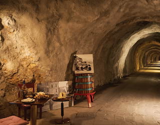 Degustazione vini La Portofinese