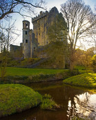 Blarney Castle by train