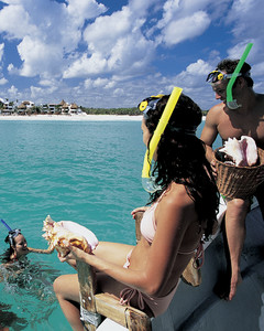 Nadar entre delfines en Cancún
