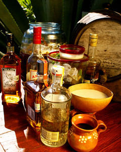Tequila Tasting Maroma