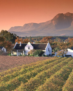 Wine Tours Cape Town