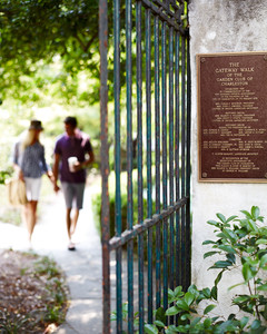 Discover Charleston