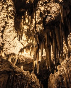 cave Tour Venice