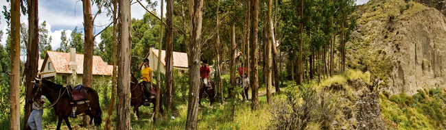 Activities in Peru