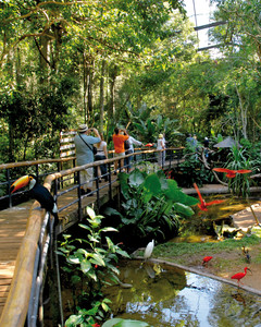 Iguacu Paque da Aves