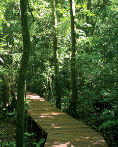 Walks in Iguassu National Park