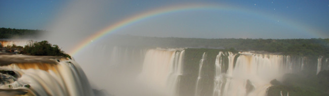 ブラジル熱帯雨林散策