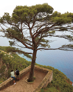 Deia Tours, Treks Majorca
