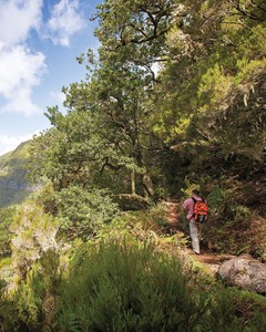 Madeira Points of Interest