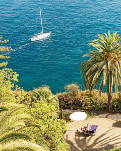 Boat Tours Madeira
