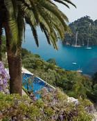 Luxury Hotel Packages in Portofino