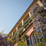 Portofino Holiday Deals, Luxury Italian Hotel Sales