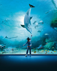 Aquarium of Genoa