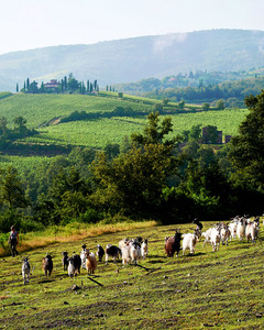 In Ape per Firenze