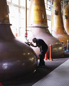Old Bushmills Distillery by train